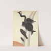 The bird from the waterfall by Pierre Pinsard