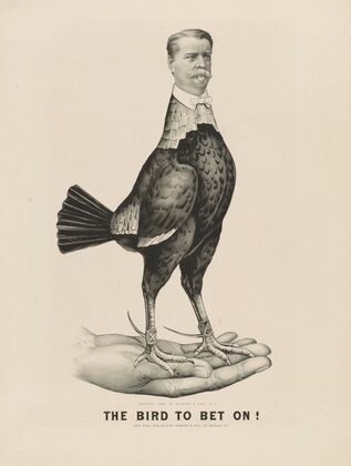The bird to bet on (1880)