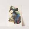The Birds of New Guinea and the adjacent Papuan islands Pl.73 by John Gould