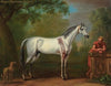 The Bloody Shoulder’d Arabian