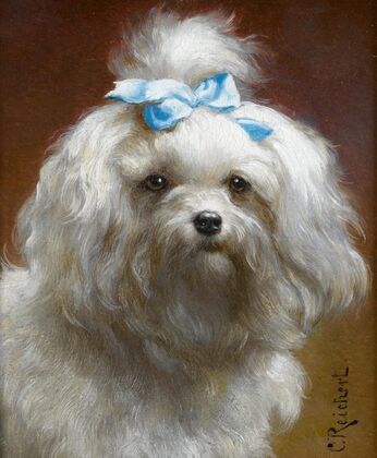 The blue bow