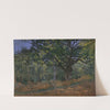 The Bodmer Oak, Fontainebleau Forest (1865) by Claude Monet