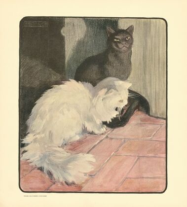 The book of the cat pl 1 (1903)