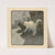 The book of the cat pl 3 (1903) by Elizabeth Fearne Bonsall