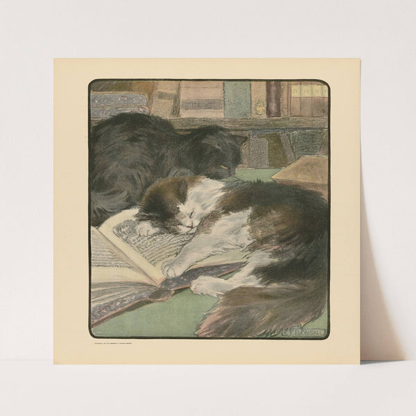 The book of the cat pl 4 (1903) by Elizabeth Fearne Bonsall
