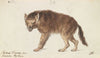 The Brown Hyena (1837)