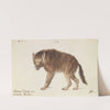 The Brown Hyena (1837) by Charles Hamilton Smith