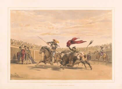 The bull following up the charge (1860-1870)