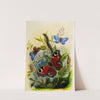 The Butterfly Vivarium or Insect home Pl 1 by Henry Noel Humphreys