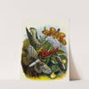 The Butterfly Vivarium or Insect home Pl 4 by Henry Noel Humphreys