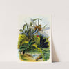 The Butterfly Vivarium or Insect home Pl 5 by Henry Noel Humphreys