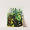 The Butterfly Vivarium or Insect home Pl 6 by Henry Noel Humphreys