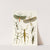 The cabinet of oriental entomology Pl XXXIX by John Obadiah Westwood