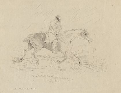 The Cader’s Trot