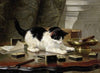 The cat at play
