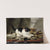 The cat at play by Henriëtte Ronner-Knip