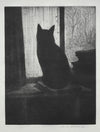 The Cat