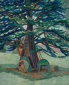 The Cedar Tree at Tidmarsh