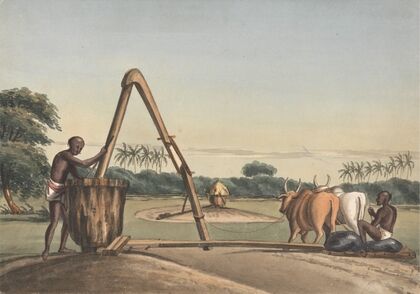 The Checkoo or Oil Mill