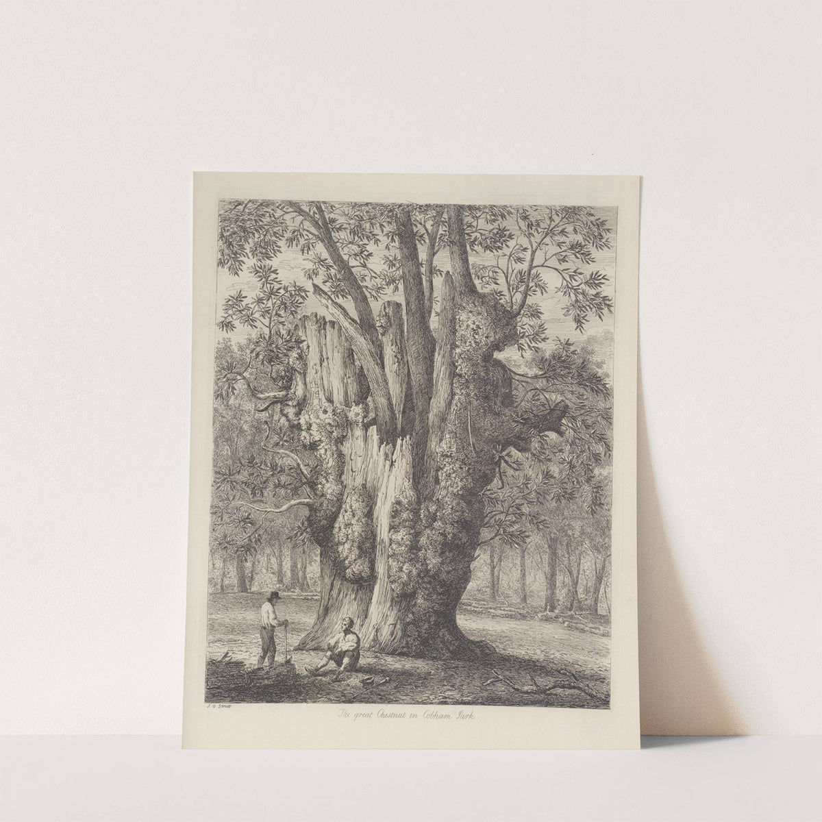 The Chesnut Tree Called The Four Sisters by Jacob George Strutt