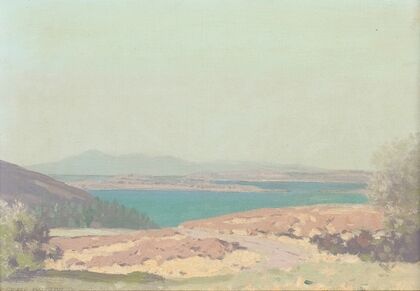 The Clyde from above Fairlie