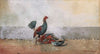 The Cock Fight (1885)