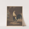 The Cock in Feather (1835) by Benjamin Marshall