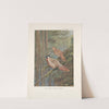 The common Koklass pheasants (Pucrasia macrolopha macrolopha). (1918-1922) by George Edward Lodge