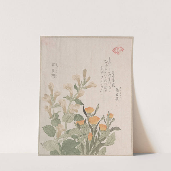 The Common Marigold and The Rajoman Flowers by Kubo Shunman