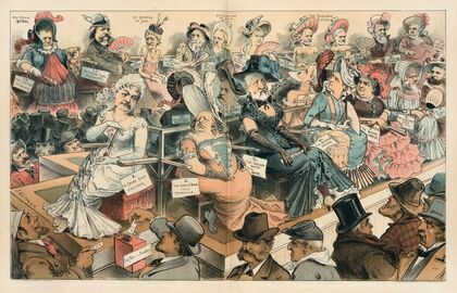 The contest of beauty