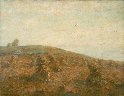 The Cornfield