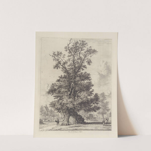 The Crawley Elm by Jacob George Strutt