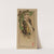 The Daikon and the Baby by Helen Hyde