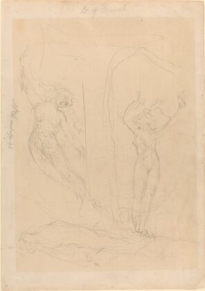 The Daughter of Men Becomes a Siren
