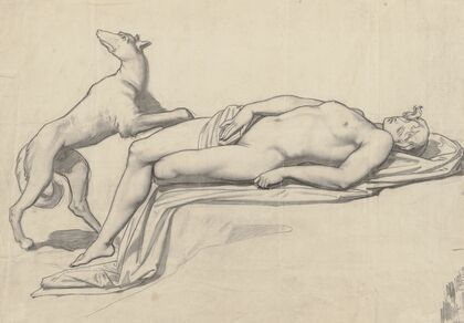The dead Adonis