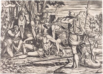 The Death of Adonis
