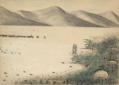 The desert