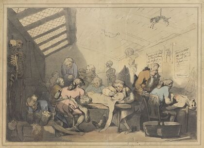 The dissecting room