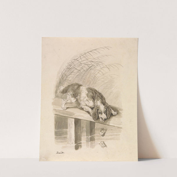 The Dog and The Shadow by Samuel Howitt