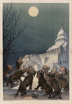 The dogs and the moon