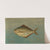 The Dollar or Butter Fish, Rhombus triacanthus. by John L. Petrie