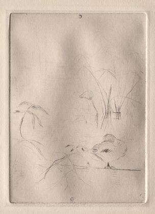 The Duck (1888–90)