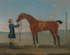 The Duke of Devonshire’s Flying Childers
