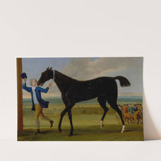 The Duke of Rutland's Bonny Black by John Wootton