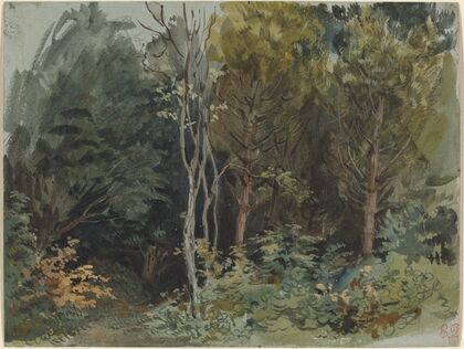 The Edge of a Wood at Nohant (c. 1842-1843)