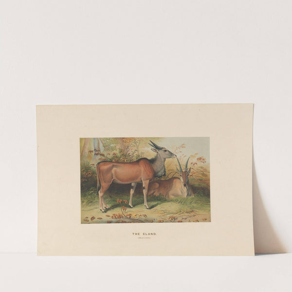 The Eland by Joseph Wolf