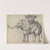The Elephant by Martin Schongauer