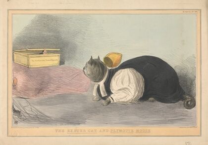 The Exeter Cat and Plymouth Mouse