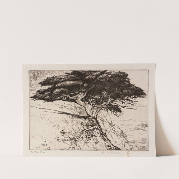 The Fan Tree (ca. 1915) by Ernest Haskell