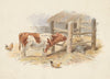 The Farmyard